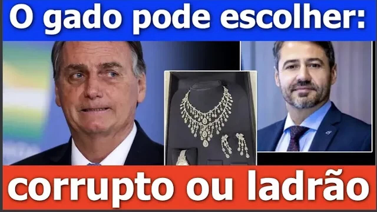 Bolsonaro é corrupto ou ladrão? - Leo Stoppa 22:30