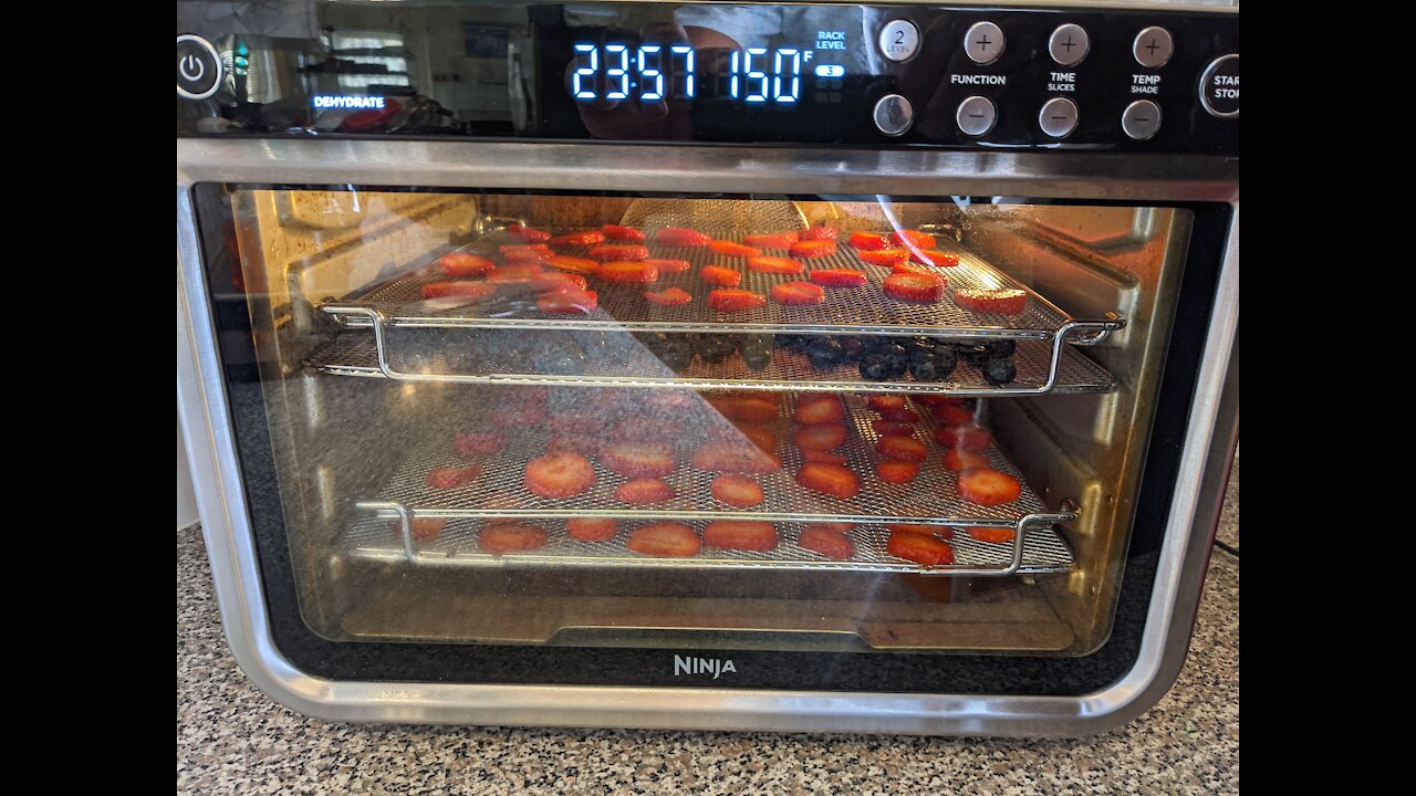 Ninja Foodi XL Pro Air Oven Dehydrating Kit Review, vs No Kit