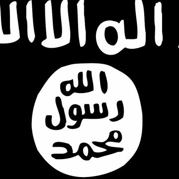 U.S. Citizens Who Try to Join ISIS