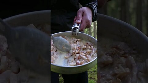 forage and cook mushroom. #foraging #outdoorcooking #outdoorchef