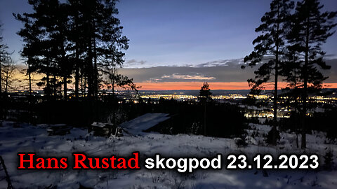 Skogpod 23. desember 2023