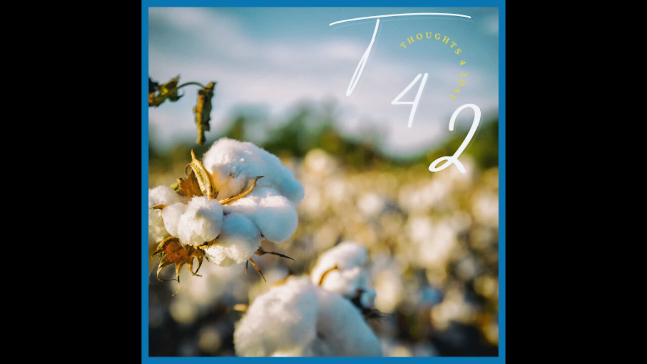 Thoughts 4 2day #17 - YOU forced US to pick cotton! . . . ?