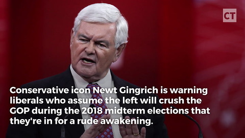 Newt Gingrich Has a Warning for Liberals
