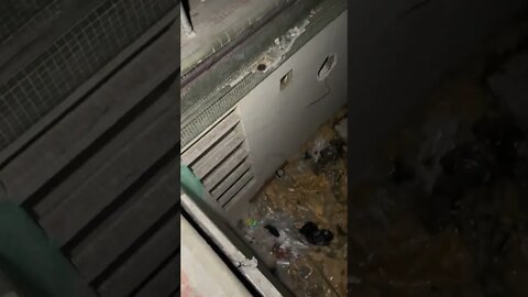 Exploring Detroit’s Burnt Auditorium At night 😬