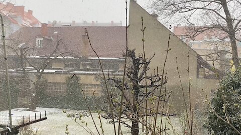 Winter is back March 20 2021 Graz, Austria