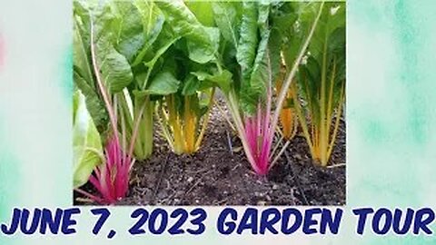 Garden Tour June 7, 2023