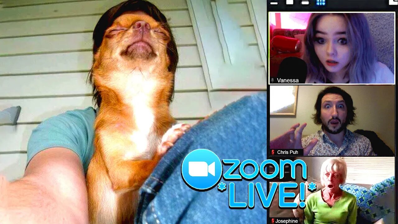 Trolling Karen School Teachers in Zoom Classes *LIVE*