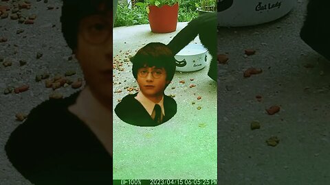 Harry Potters Head Visits #Shorts 🤓