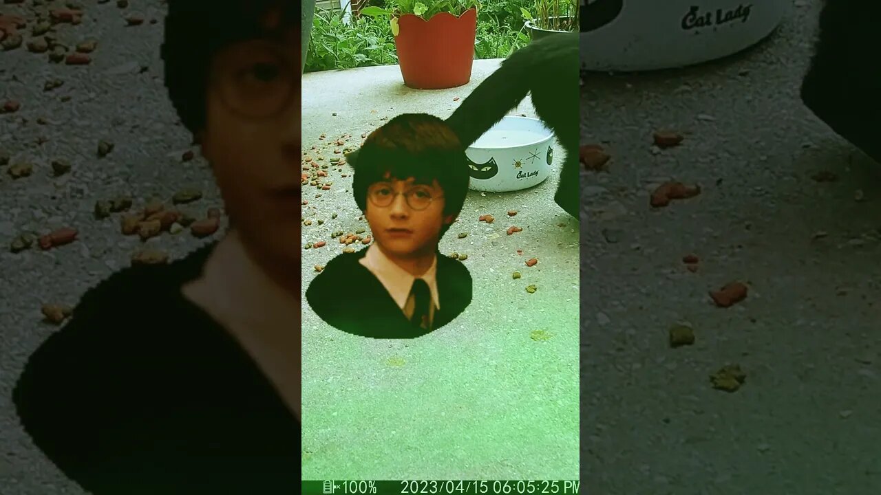 Harry Potters Head Visits #Shorts 🤓