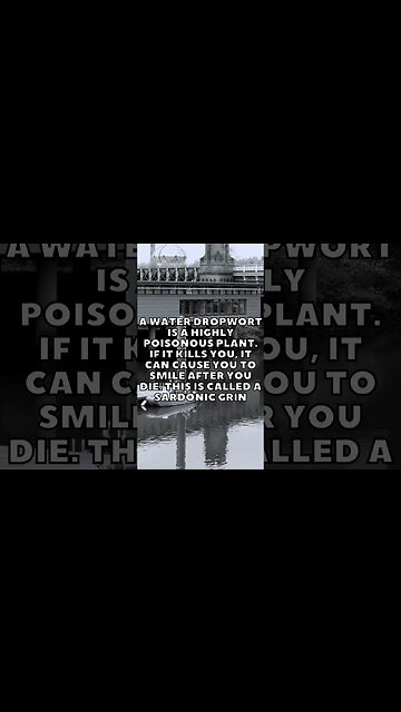 Incredible Random Facts That Will Expand Your Mind! [2023] #shorts #facts #viralshorts #fyp #life