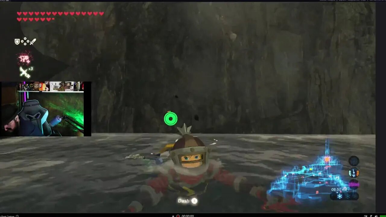 Test Zelda
