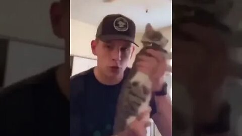 PLAYING CAT VIDEO MEAWWW