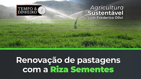 Renovação de pastagens com a Riza Sementes