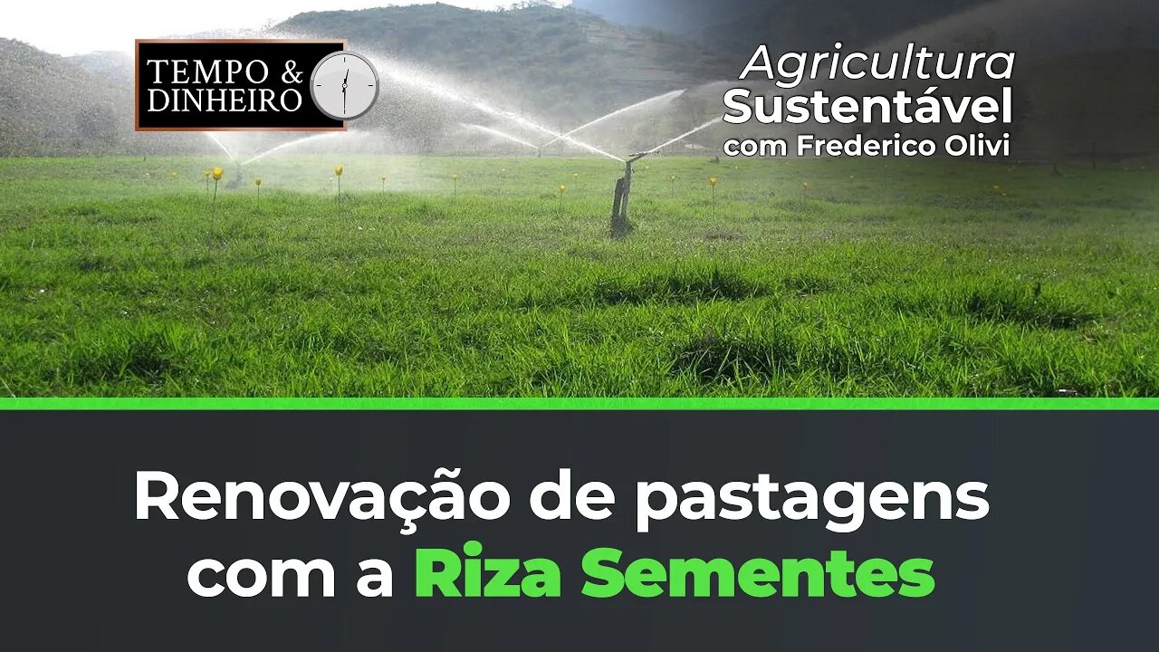 Renovação de pastagens com a Riza Sementes