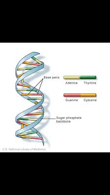 Restore DNA with Glutathione: Graphene Oxide Detox #GlutathioneBenefits #DNARestoration
