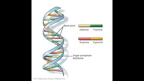 Restore DNA with Glutathione: Graphene Oxide Detox #GlutathioneBenefits #DNARestoration