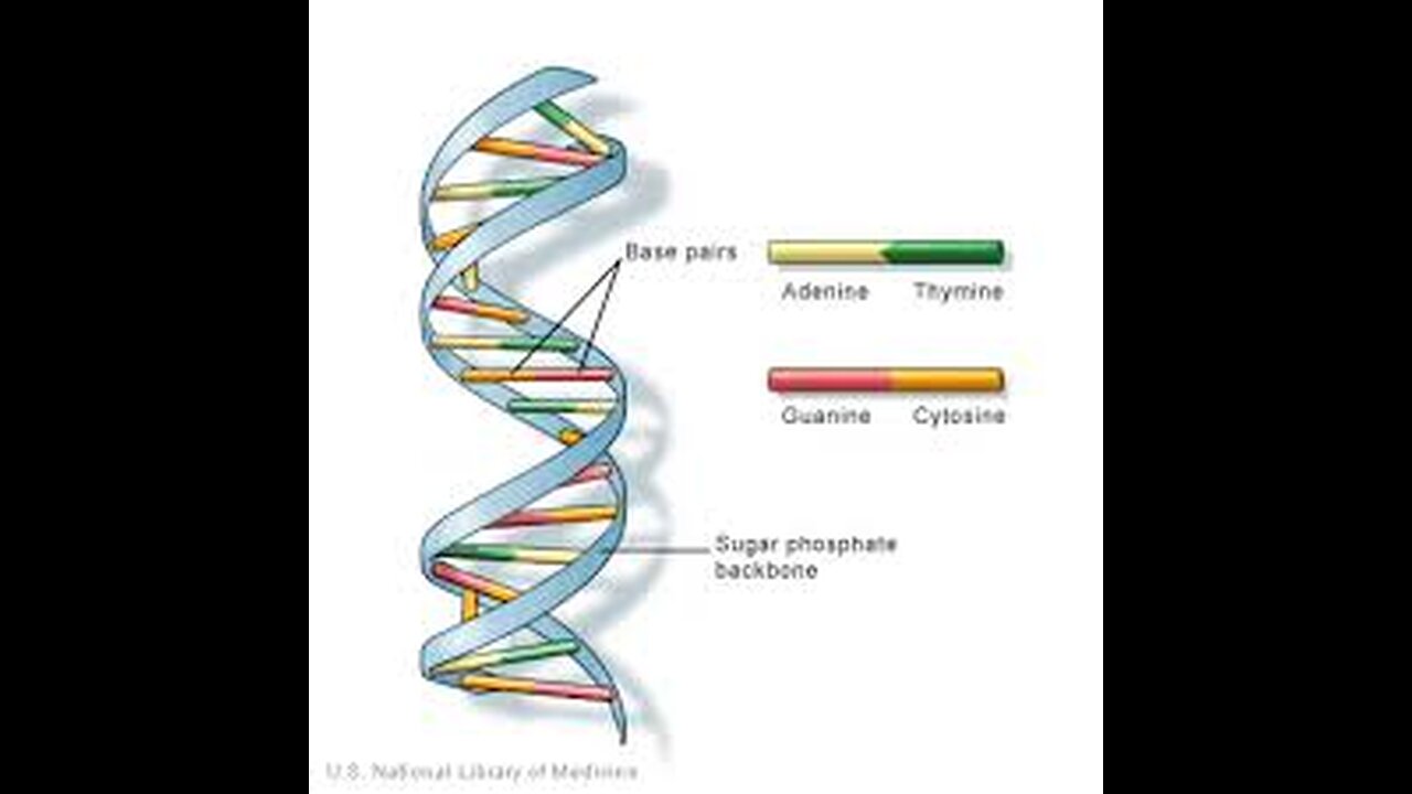 Restore DNA with Glutathione: Graphene Oxide Detox #GlutathioneBenefits #DNARestoration