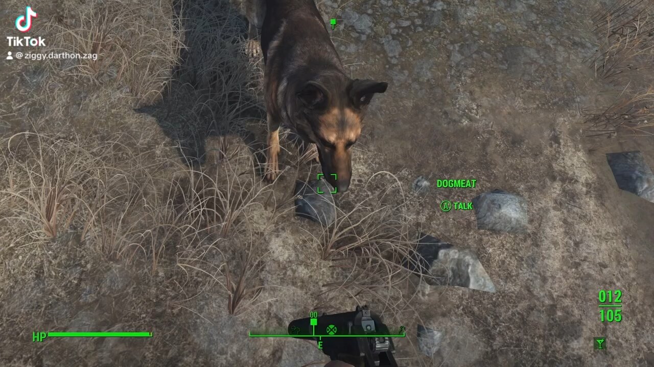 DeathClaws don’t stand a chance against the dream team ( Fallout 4 )