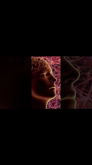 "Enhancing Memory & Focus: The Conscious Mind Meditation"