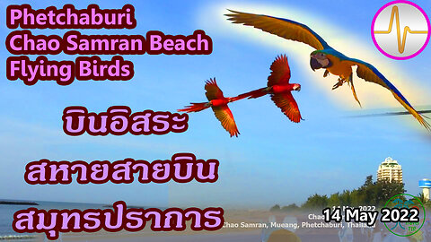 นก บินอิสระ กับสหายสายบิน สมุทรปราการ หาดเจ้าสำราญ