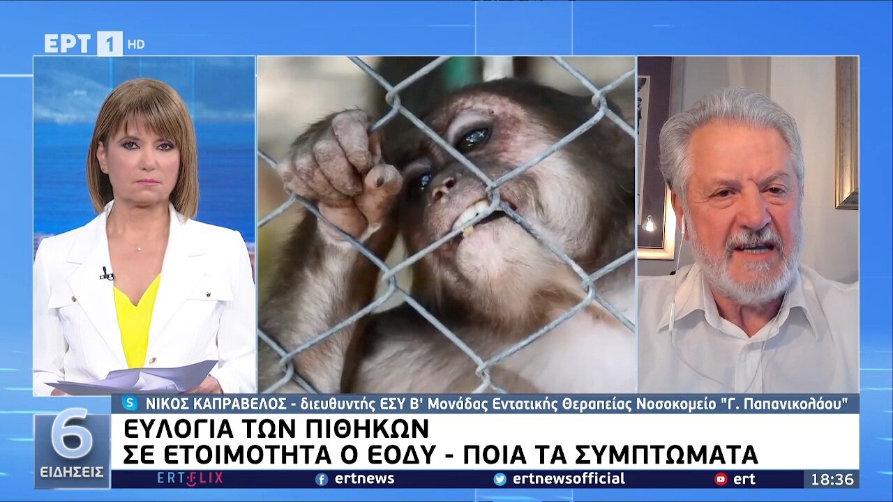 ΝΙΚΟΣ ΚΑΠΡΑΒΕΛΟΣ - ΕΥΛΟΓΙΑ ΤΩΝ ΠΙΘΗΚΩΝ