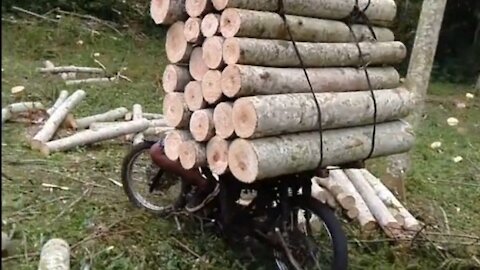 wood transport driver