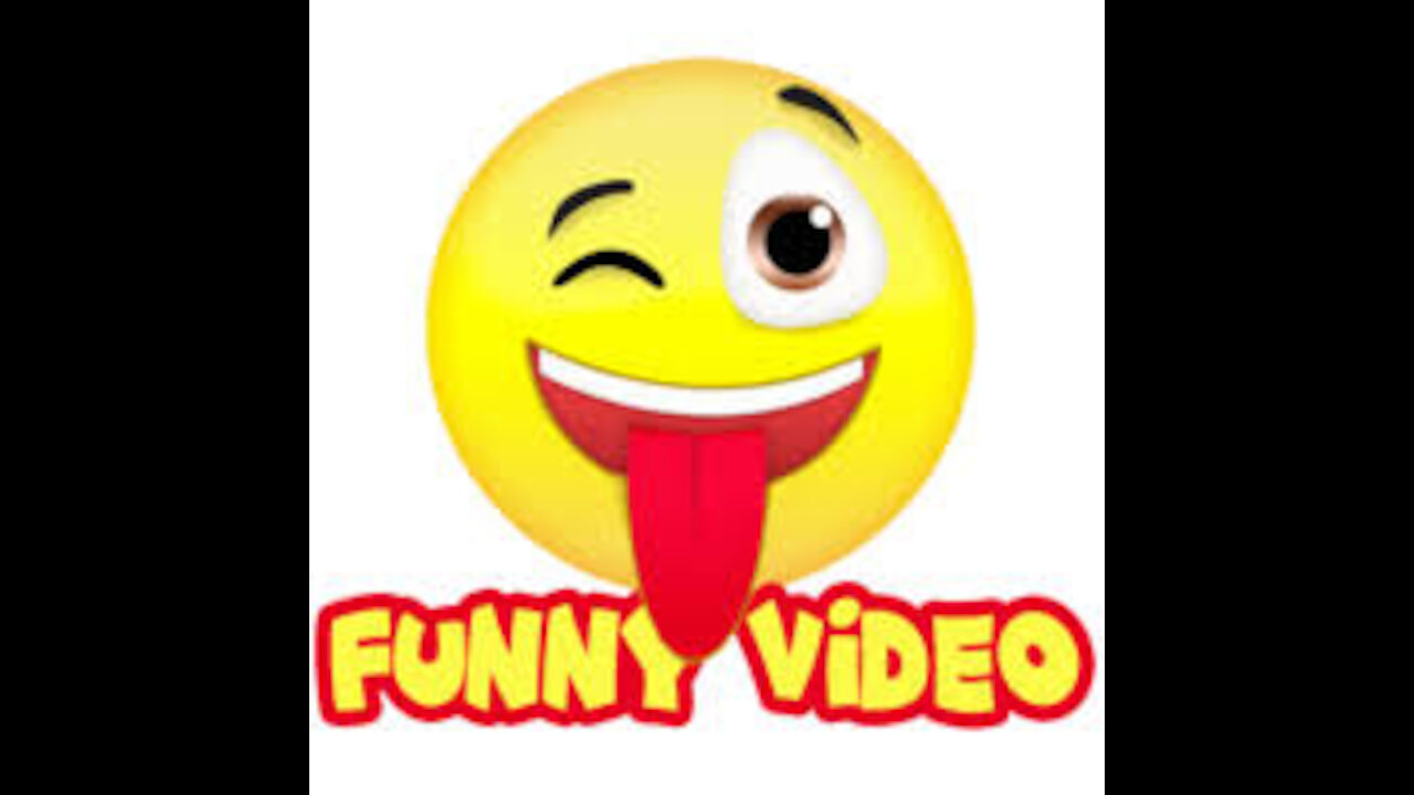 new most wonderful funny Video