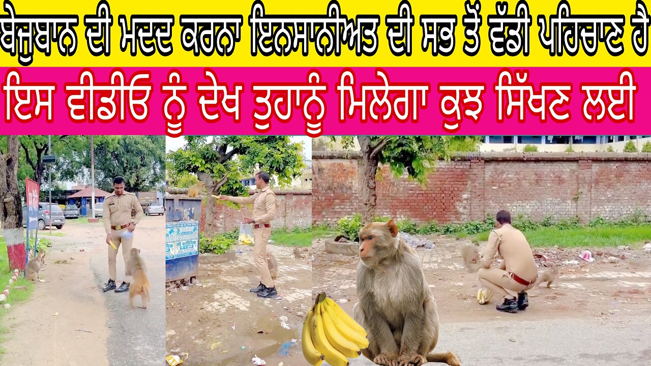 ਬੇਜਵਾਨ ਦੀ ਮਦਦ ਕਰਨਾ ਇਨਸਾਨੀਅਤ ਦੀ ਸਭ ਤੋਂ ਵੱਡੀ ਪਹਿਚਾਣ ਹੈ ਇਸ ਤਰ੍ਹਾਂ ਦੀ ਹੋਰ ਵੀਡੀਓ ਦੇਖਣ ਲਈ ਚੈਨਲ ਨੂੰ ਕਰੋ