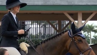 Winter Equestrian Festival begins