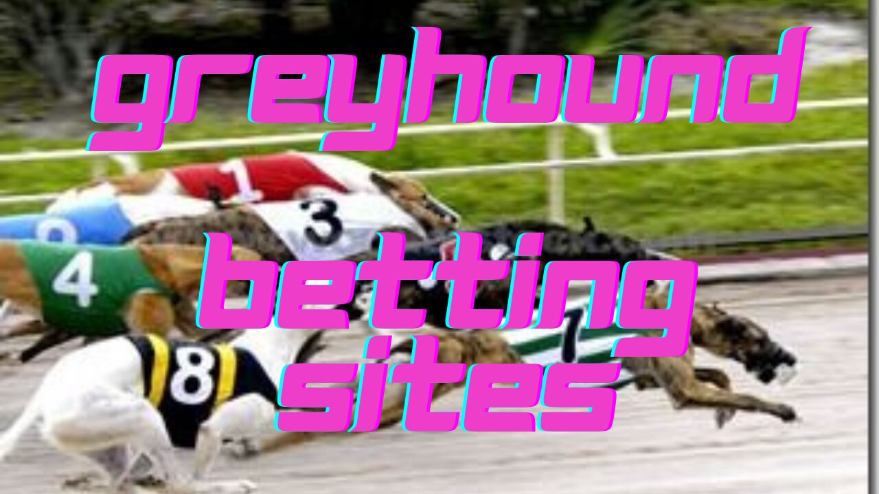 Greyhound Betting sites | Dog racing | Dog betting in India | dog race betting tips