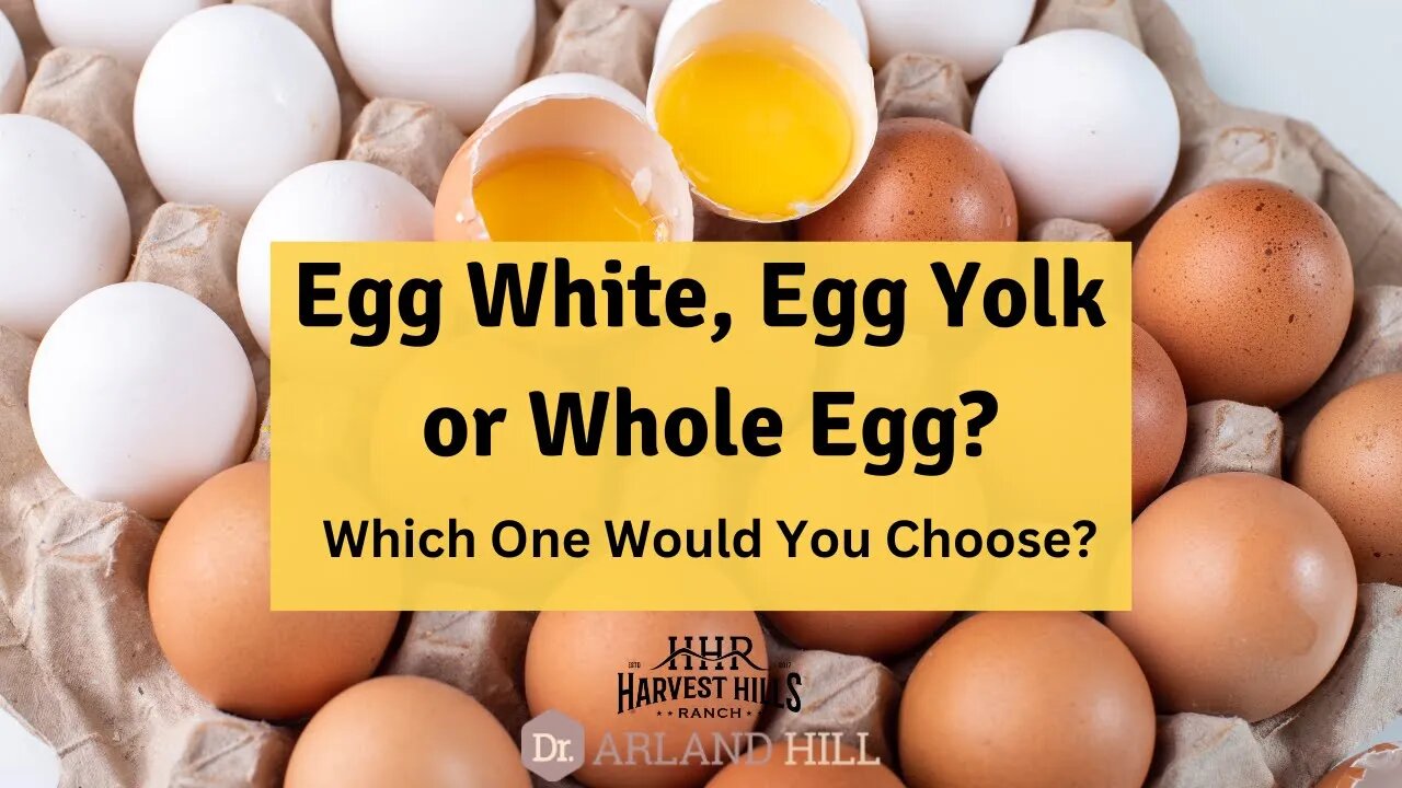 Egg White, Egg Yolk or Whole Egg? Which One Would You Choose?