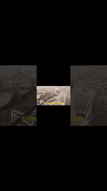 Educate Dont Eradicate