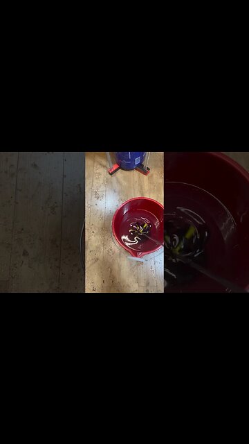 big pour #shorts #woodworking #handmade #woodturning #shortvideo #trending #craft #lathe #woodwork