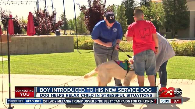 Boy gets autism service dog to help with anxiety