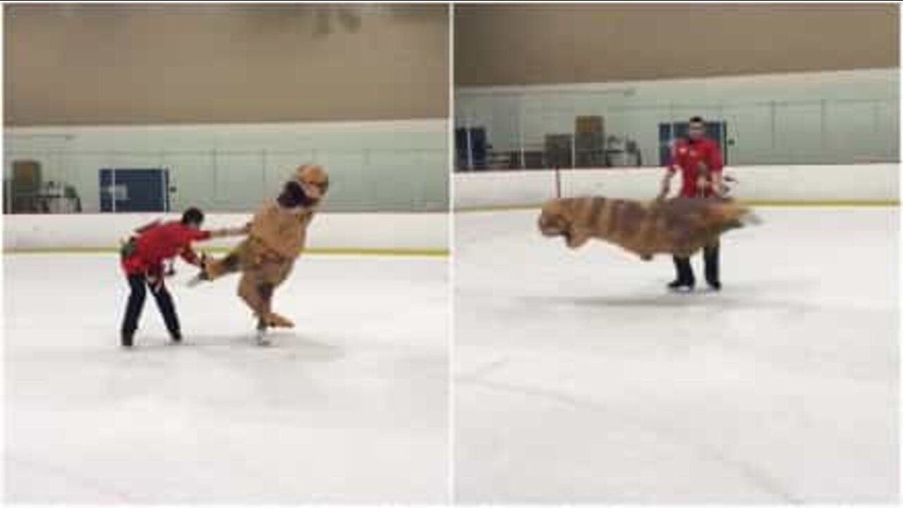 Un T-rex patineur sur glace en Californie