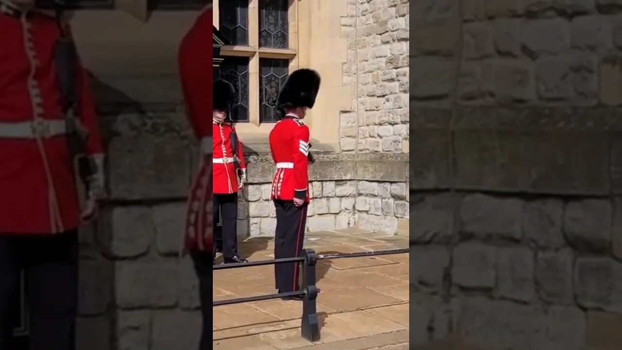 Out Side inspection #horseguardsparade