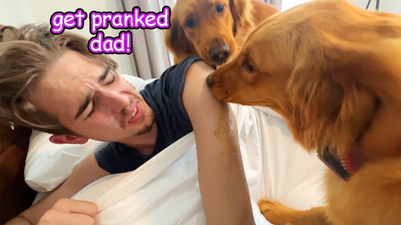 My Dogs PRANKED Me! *Revenge*