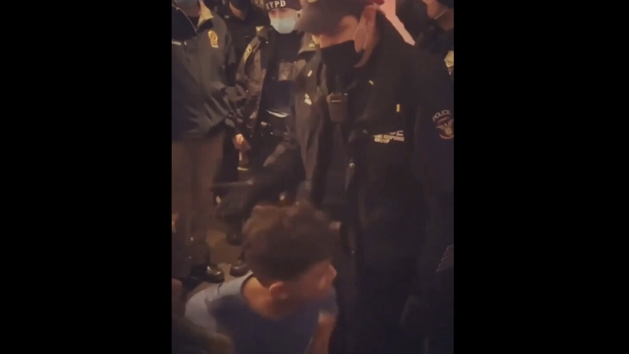 Squad of NYPD Gestapos harass little boy and family in Queens Rest for no Vaccine Proof