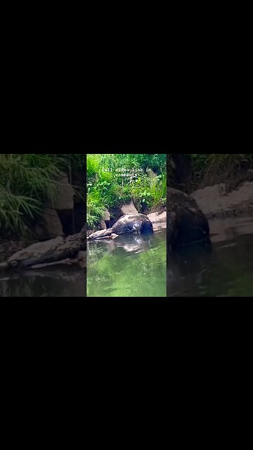 Up Poo Creek with Oh💩Survival Kit | ON3 Jason Salyer