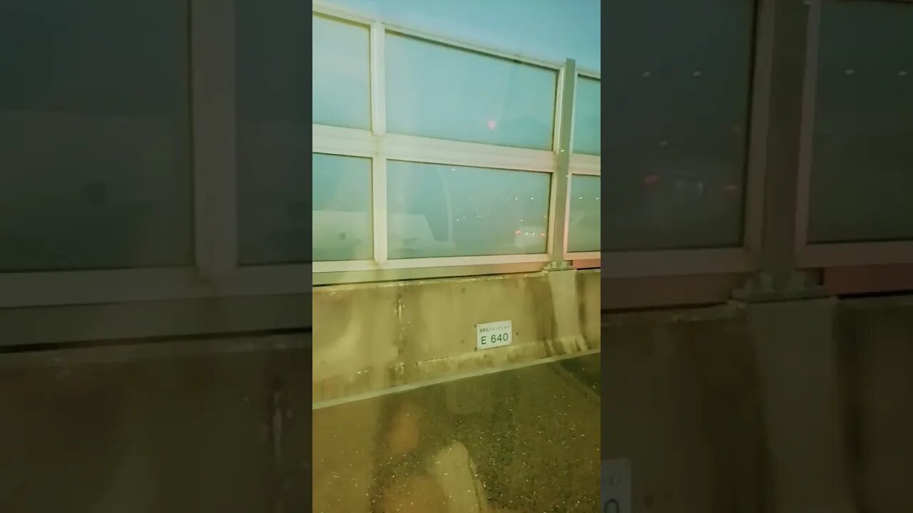 #etsukojunio #etsukofans #fransiscaofficial #teamfransisca #沉连清 #fransisca #fransiscametaworld