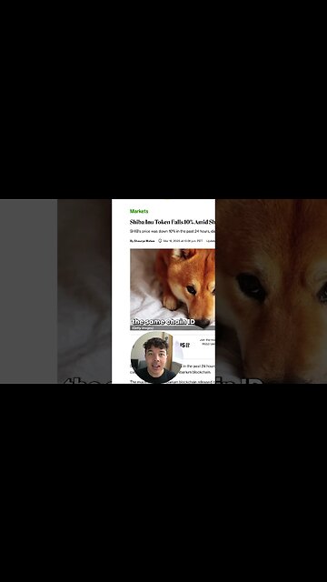 Did Shiba Inu Coin Steal Another Crypto's Blockchain?