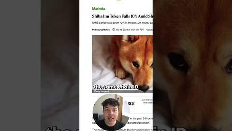 Did Shiba Inu Coin Steal Another Crypto's Blockchain?