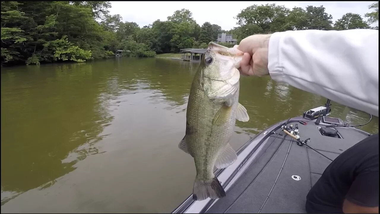 GRINDING IT OUT! Early Summer Time Bass Fishing!