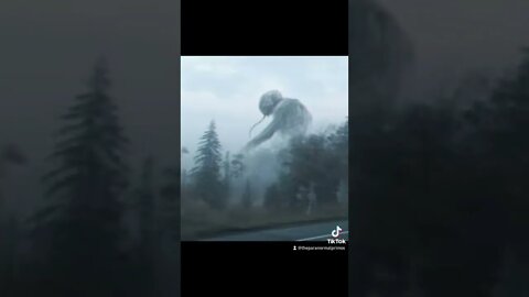 Monsters