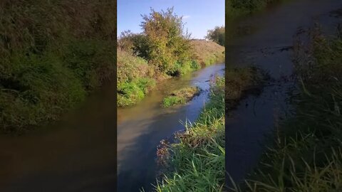 good looking creek clear water.