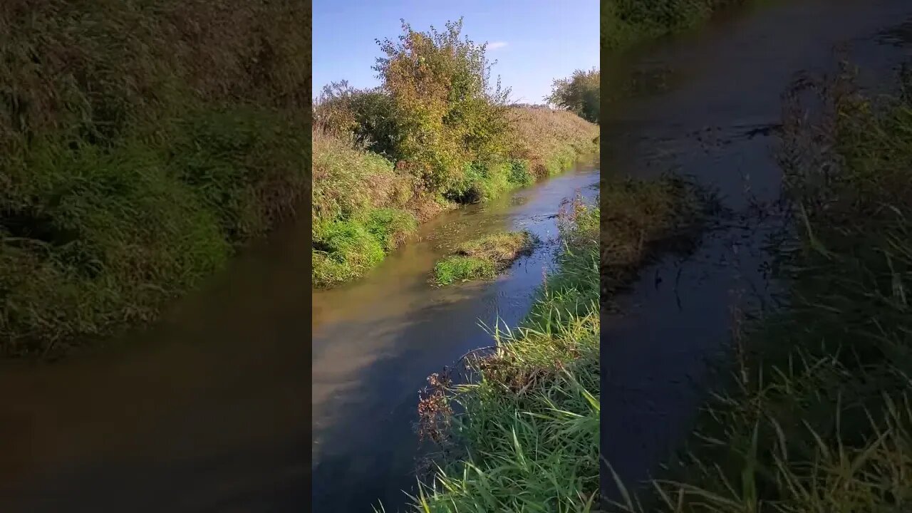 good looking creek clear water.