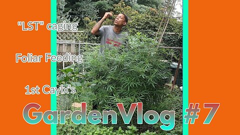GardenVlog #7