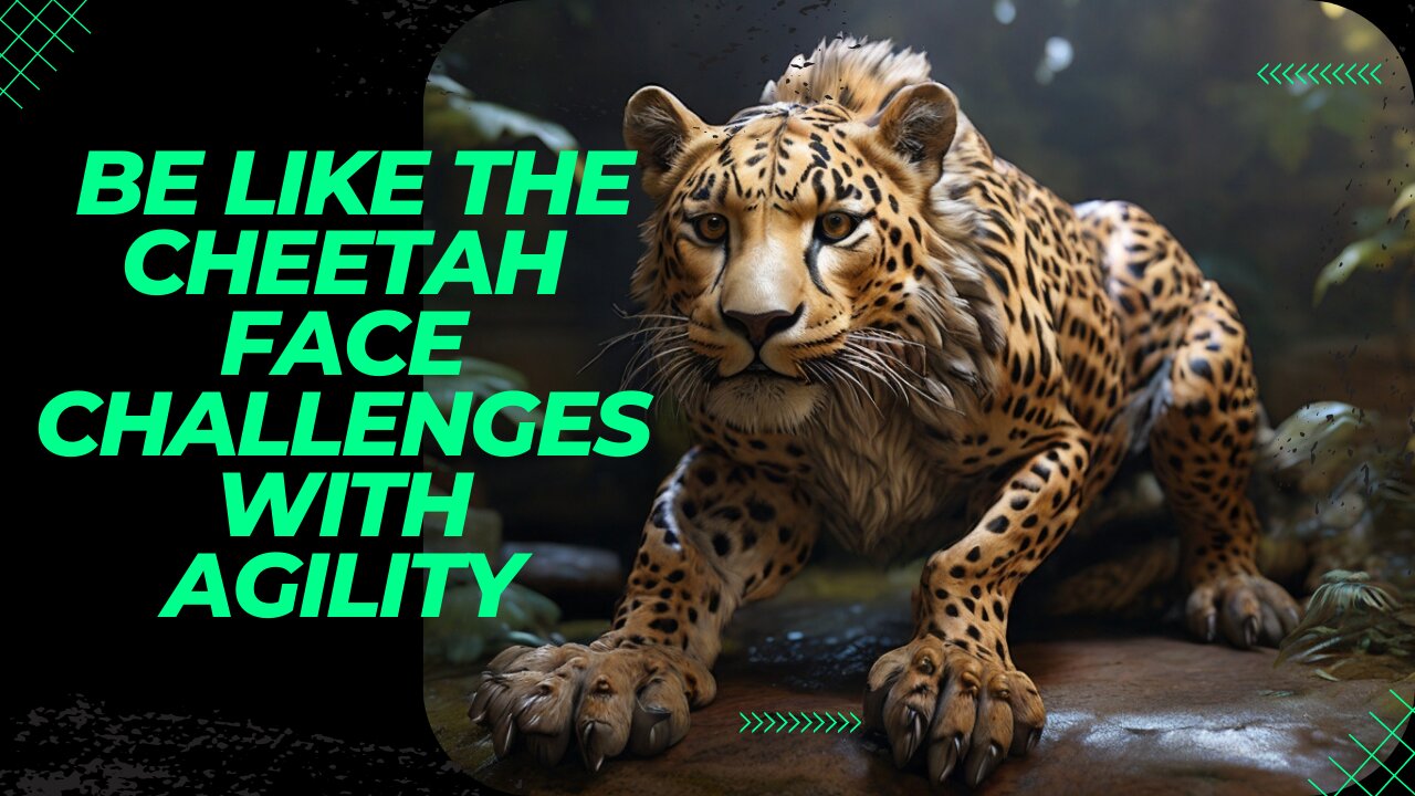 Chase Your Dreams_ Life Lessons from a Cheetah