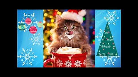 Funny Animals Are Excited For Christmas _ Funny Christmas Animals _ Try Not To Laugh 🎄 2021.