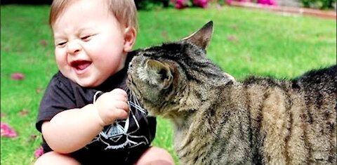 Fun and cute baby and cats compilation, try not to laugh